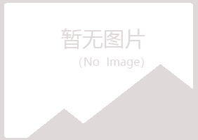 城北区夜白美容有限公司